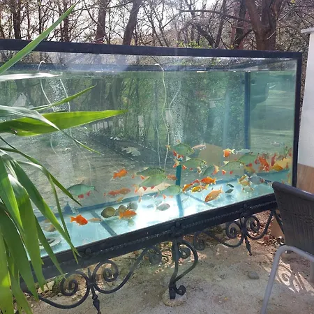 Gaestehaus Coco Apartment *