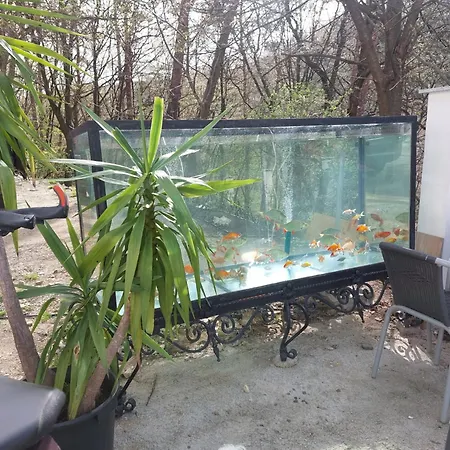 Gaestehaus Coco Lejlighed *