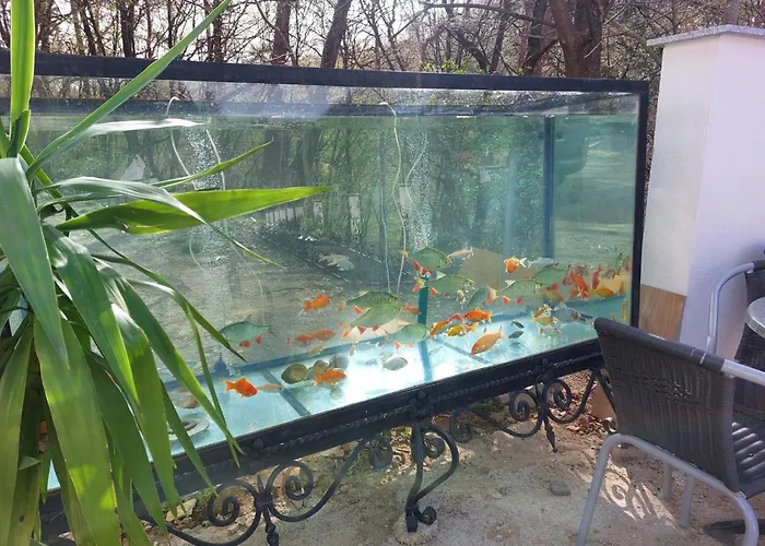 Gaestehaus Coco Apartment *